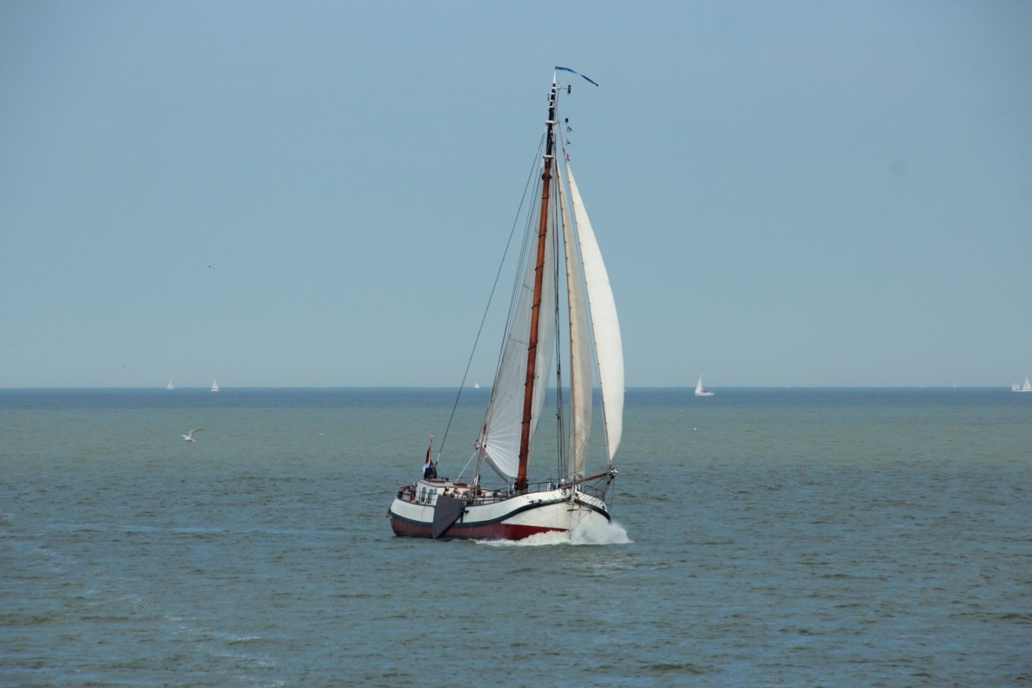 Segelurlaub IJsselmeer Eendracht